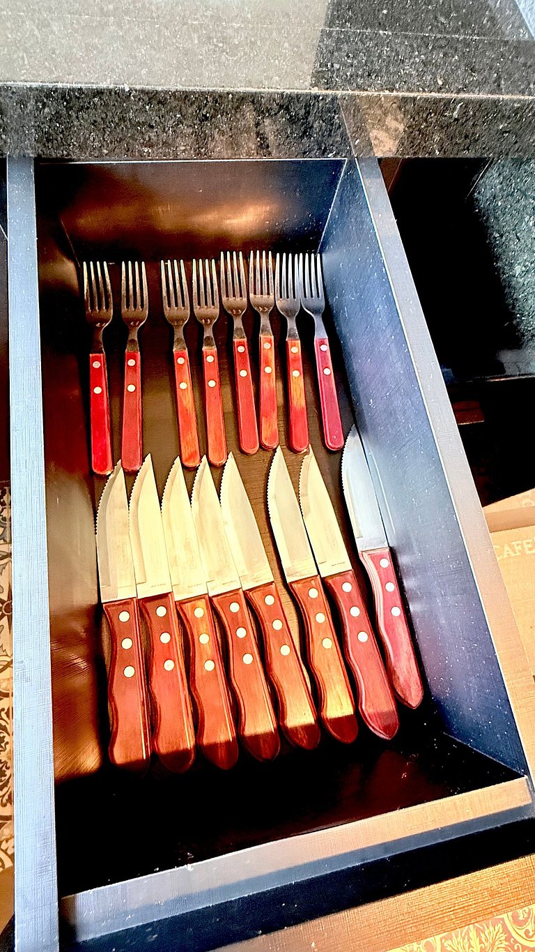 Luxo 3 Suítes | Vista Vale do Quilombo |R. Coberta