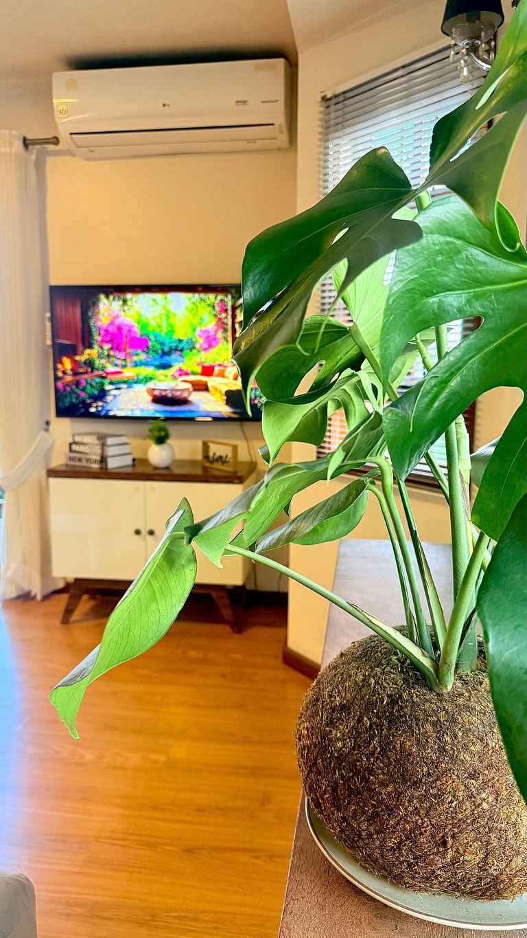 Casa Serena | 3 Quartos | Próx Centro