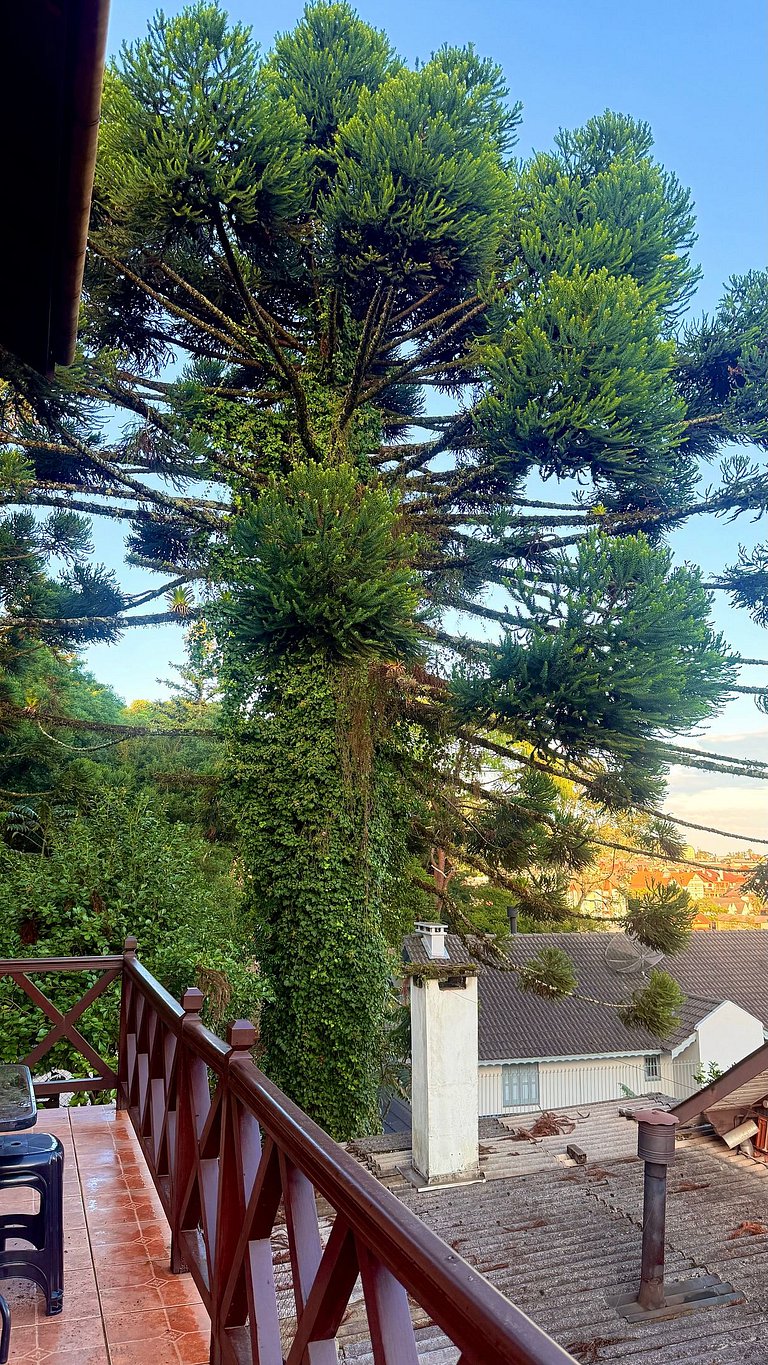 Casa Serena | 3 Quartos | Próx Centro